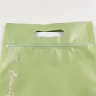 Gravnre 150mic FDA Reusable Zipper Plastic Bags CYMK MOPP Untuk Pakaian Dalam