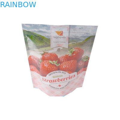 Snack Ziplock Stand Up Kantung Plastik Kemasan untuk Kemasan Buah Kering