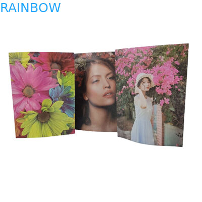 Tas kemasan makanan Pla khusus Plastik Zip Lock Aluminium foil tas